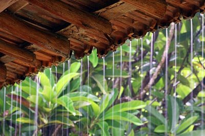 Aproveitamento da Água da Chuva deve ser local