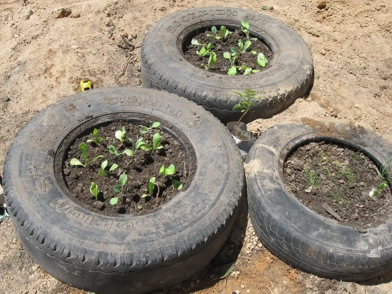 Projeto Casa Mairiporã Hortas e Paredes